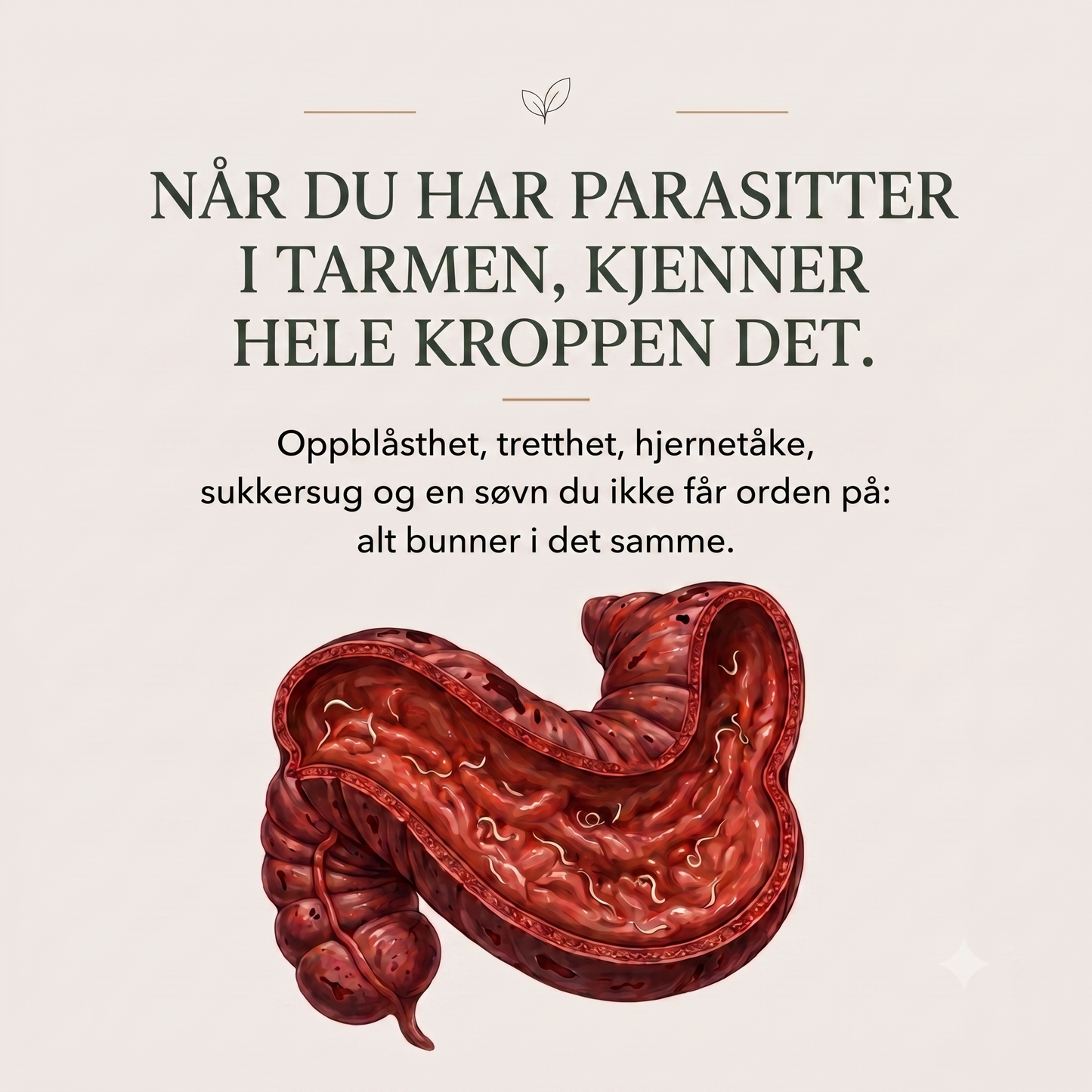 Når du har parasitter i tarmen
