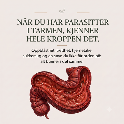 Når du har parasitter i tarmen
