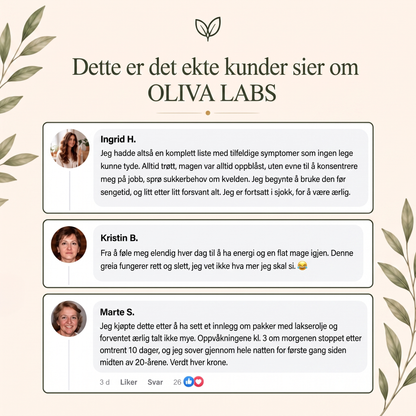 Dette sier kundene våre